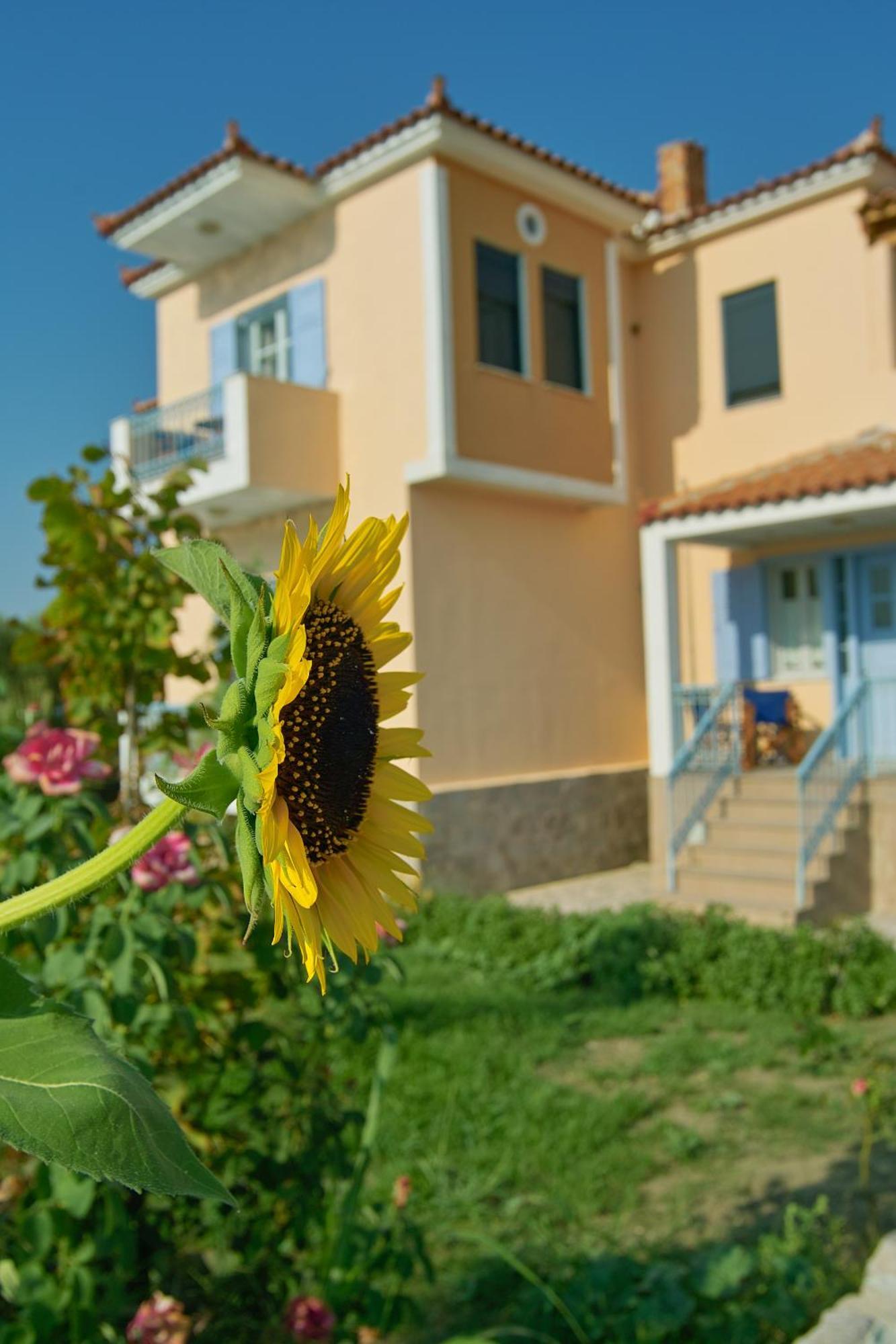 Marita Villa Lisvori Exterior foto