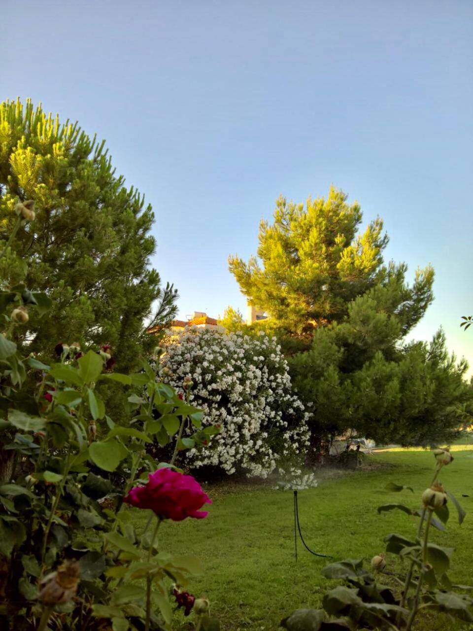 Marita Villa Lisvori Exterior foto