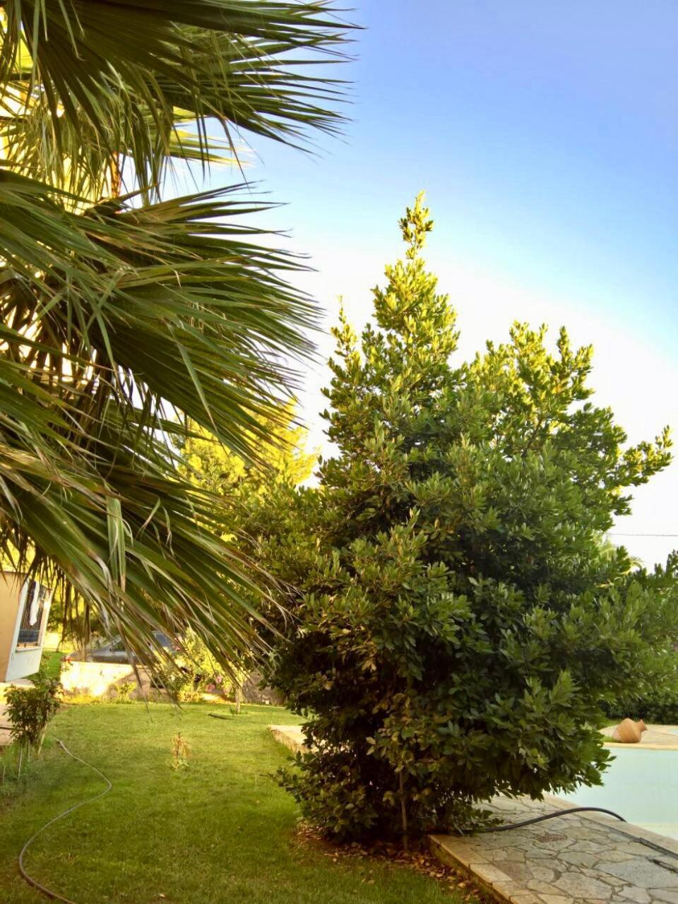 Marita Villa Lisvori Exterior foto